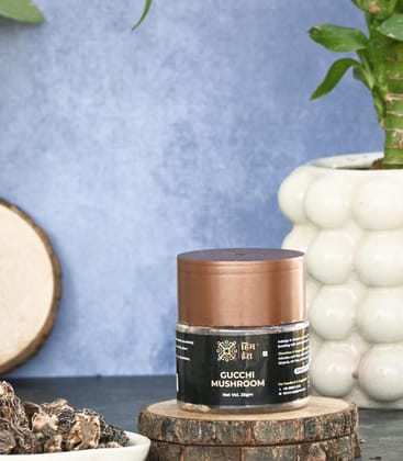 Gucchi Mushroom – Rare Himalayan Morel Mushrooms Gucchi Mushroom – Rare Himalayan Morel Mushrooms