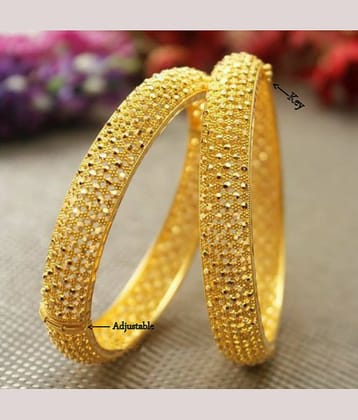 Vighnaharta Traditional Wear Adjustable 1gm Gold Plated Alloy Bangle (Kada, Tode) for Women and Girls - pack of 2 pcs Bangle- [VFJ1015BG2-8]