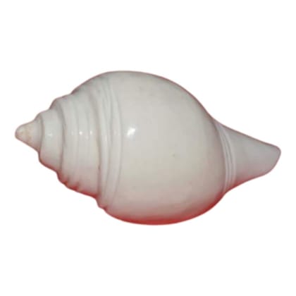 MAYAPURI Pooja Jal Shankha | Original Conch Shell, Puja Jal Shankh | 4 inches (Pack of 1)