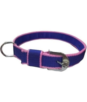 Dog Collar