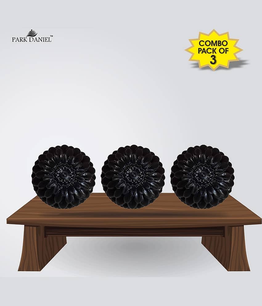 Park Daniel Activated Charcoal Bathing Bar Soap For Skin Deep Cleaning Pack of 3 of 100 Grams(300 Grams)