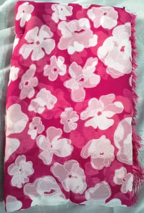 Elegant Braso Sarees Elegant Braso Sarees