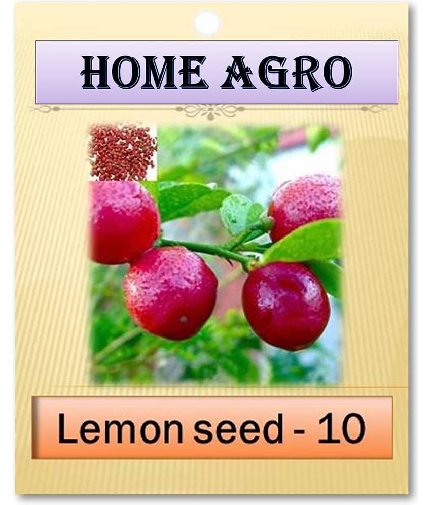 homeagro - Vegetable Seeds ( 10 )