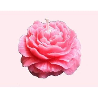 Tohafa Peony Flower Scented Candle 90gm Floral Candle with Peony, Rose Jasmine Aroma, 15+ Hours Burn Time