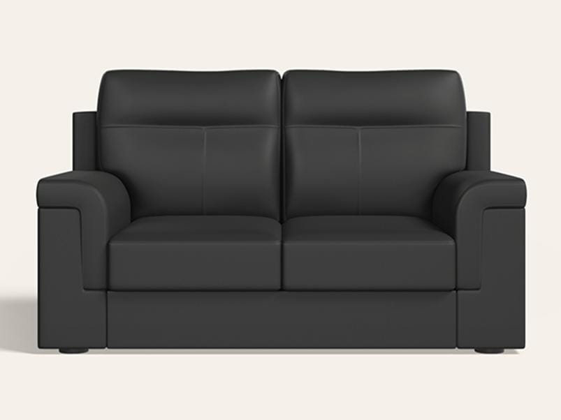 Greta 2 Seater Synthetic Leather Sofa (1-Year Warranty, Solid Wood, Nimbus Grey)