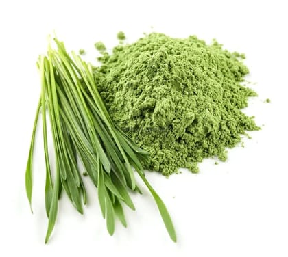 Dehydrated Barley Grass Powder