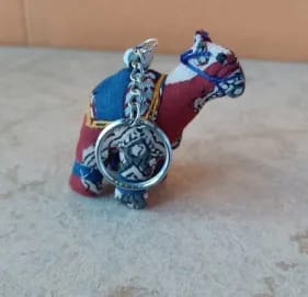 CAMEL