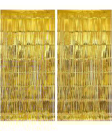 PRANSUNITA - Plastic Fringe Curtains (Pack of 1)