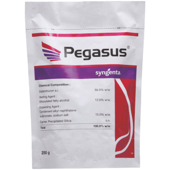 Pegasus