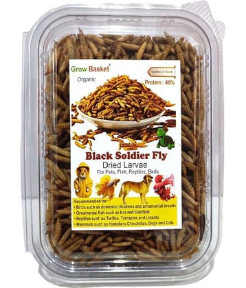 Dried Black Soldier Fly Larvae - 100% Natural, Protein Rich Fish Food for Arowana, Flower Horn, Oscar, Fighter, Angelfish, Molly, Koi, Cichlids, Tetra, Discus, Red tail All Life Stages All Big Ornamental Fishes 40% Protein Larvae BSF