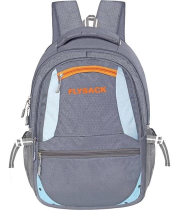 FLYSACK Silver PU Backpack ( 35 Ltrs )