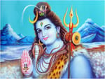 Krishna Store