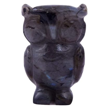 Labradorite Owl, Fengshui, Good Luck Symbol of Wisdom and Protection from Evil, Statue, Laxmi Vahana (KI_131)  by Krishna Impex