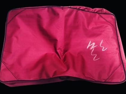Foam Padded Cover (Any Instrument)