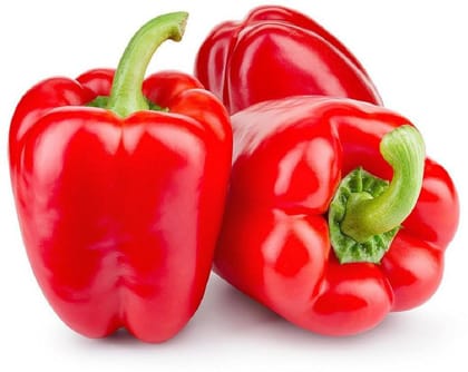 Red Capsicum Seed Pack Of  50