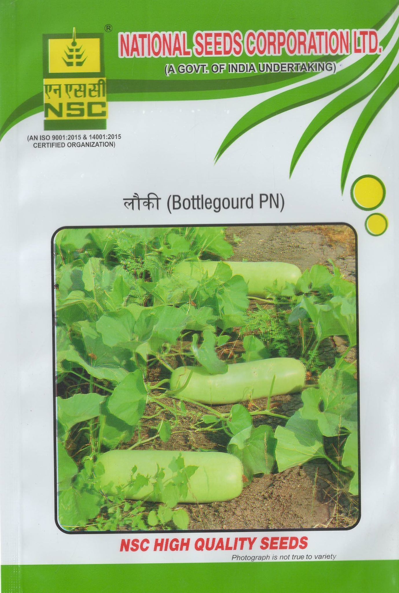 NSC Bottle gourd Seed, Variety:Pusa Naveen 100gm