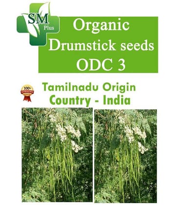 Indian organic Moringa Seeds - Odc Variety, 100 seeds per back