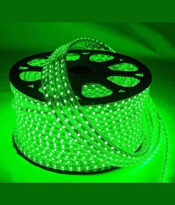 ZESTRUM Green 5M LED Strip ( Pack of 1 )