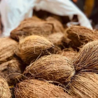 Shah Fruits supplier