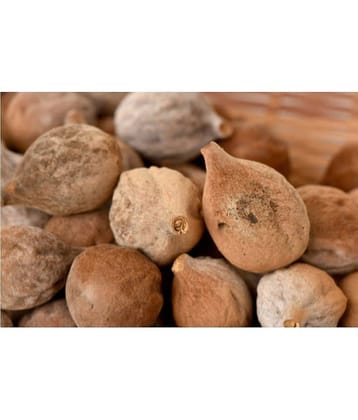 MYGODGIFT Baheda Bibhitaki Sabut Belliric Myrobalan 100 gm