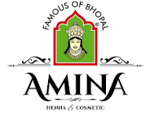 Amina Mehandi
