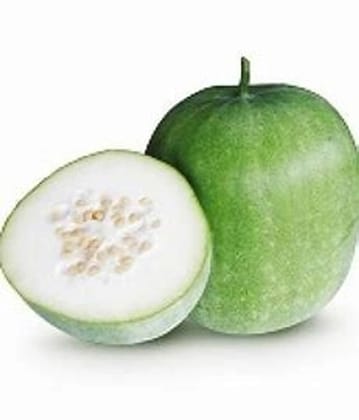 Ash Gourd (Petha/Safed Kaddu) Ashgourd Green Bhopla - (1 Pc Approx. 1-2Kg)