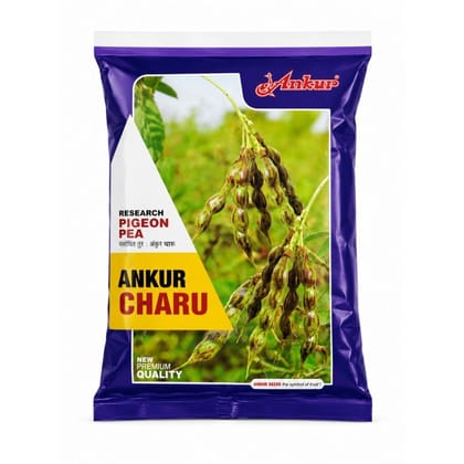 Ankur Charu Pigeon Pea Seeds - 1 kg