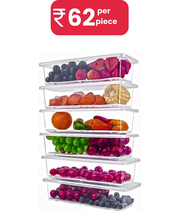 Anshri Plastic Transparent Food Container ( Set of 6 )