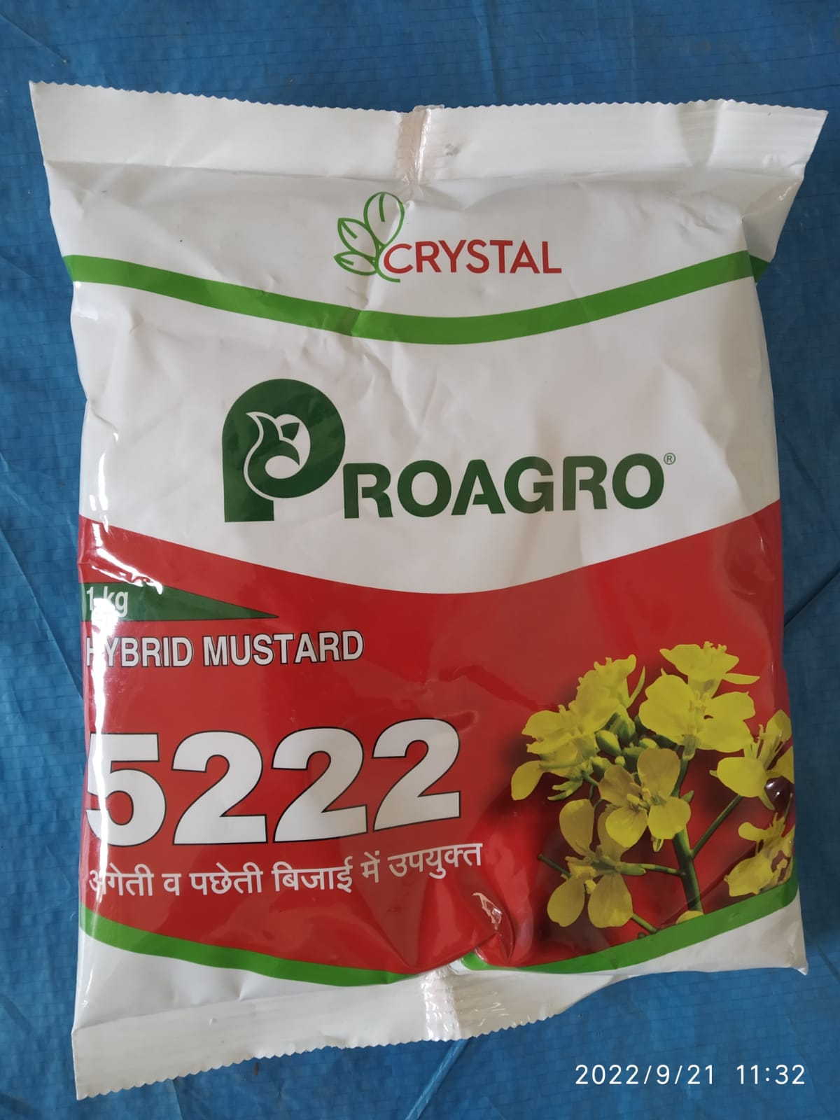 MUSTARD CRYSTAL 5222