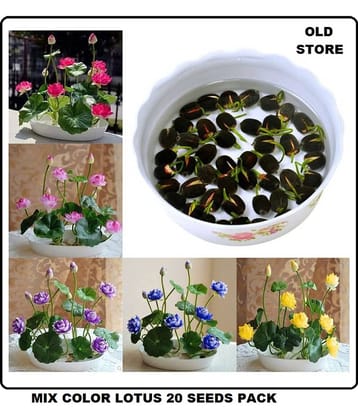 OLD STORE Lotus Flower Seeds - 20 seed - Pink & White Colors Seeds For Home Garden - 20 Seeds + Instruction Manual