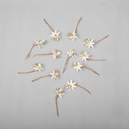 Women White Embellished Hair Accessory Set of