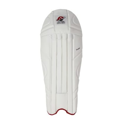 Aver Fusion Wicket Keeping Leg Guard