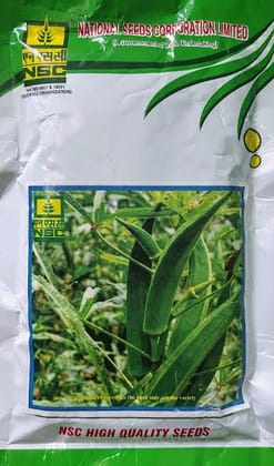 NSC BHENDI- ARKA ANAMIKA ; 50 gms NSC BHENDI- ARKA ANAMIKA ; 50 gms