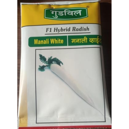 Goodwill F1 Hybrid Radish Manali White Seeds - 20 gm - One packet of seeds