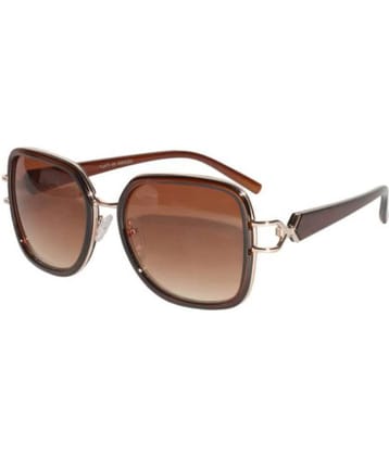 Peter Jones - Brown Square Sunglasses ( RDBW007 )