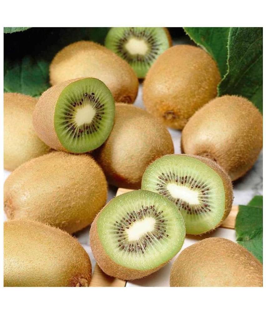 M-Technologies Kiwi Fruit Plant Seeds - Pack of 25
