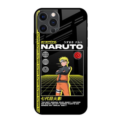 Ninja Way Glass Case for iPhone 12 Pro Max