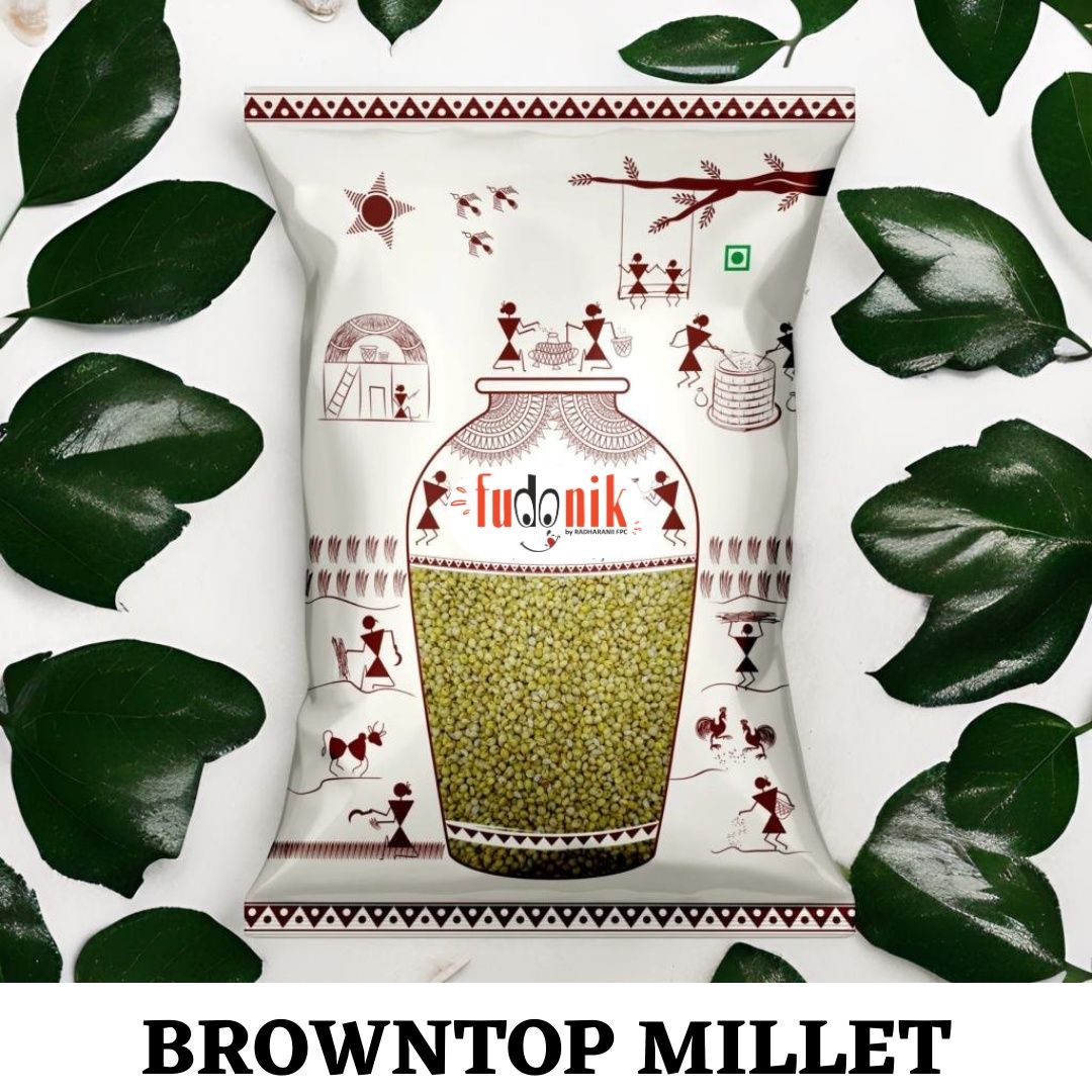 Fudonik Browntop Millet Grain (Chotti Kangni) | Whole Grain, Unpolished | Rice Substitute