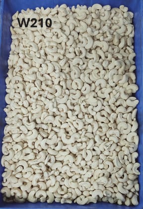 W210 Cashew