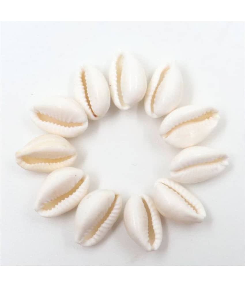 Somadev Safed Kaudi / White Stoneware Yantra Kaudi (Pack of 11)