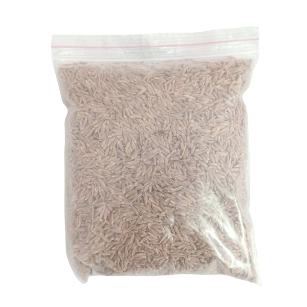 Jeera - 100 gm - 100 gm - 1 Pack