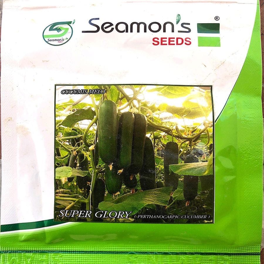 Super Glory (Perthanocarpic Cucumber)