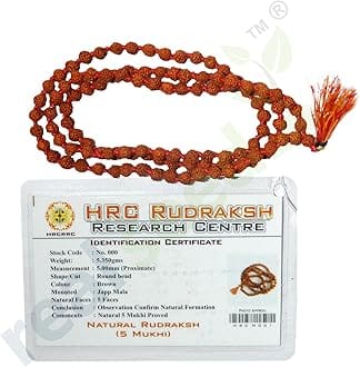 Real Seed Lab Certified Nepal Rudraksha Mala for All Rashi (5mm)