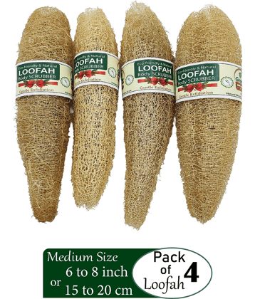 Grow Basket Natural Loofah Sponge Loofah Yellow Pack of 4