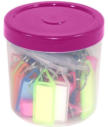 offlic Assorted Tag Label Multipurpose Writeable Name Keyrings & Keychains (Pack of 50)