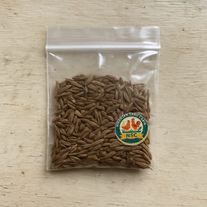 Niranjan Sahu Cabin's cumin seeds