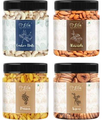 Lila Dry Fruits Combo (100 Gms x 4) Jar pack |Cashew Almond Fig Raisin