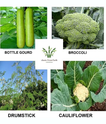 Bottle gourd + Broccoli +Drumstick +cauliflower 200+ seeds with cocopeat