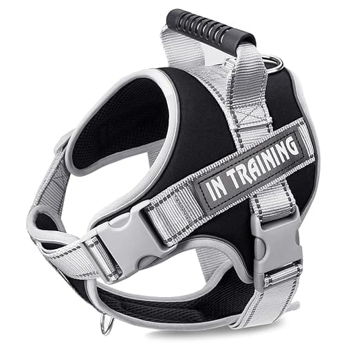 BlingPets Dog Harness Adjustable Dog Body Belt for Large Dogs with Copybook Dog Vest (Black, XL)