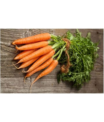 Carrot Orange Seeds (Gaajar) Pack of 100 Seeds by Amazonite Enterprises